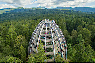 Baumwipfelpfad im Bayerischen Wald